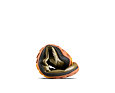Vivobarefoot PRIMUS TRAIL FLOW MID MENS CEDAR